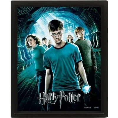 Imagen de Pyramid International Póster lenticular 3D de Harry Potter la Orden del Fénix, 25 x 20 1,3 cm, en marco caja, producto oficial