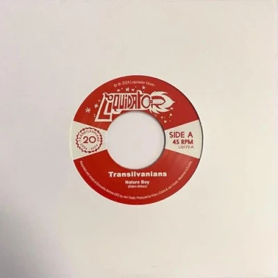 Imagen de Nature Boy/night And Day Vinilo Single 7&quot; Transivalnians