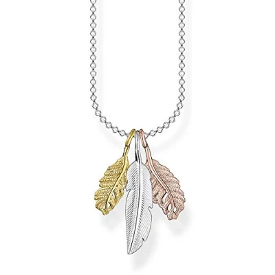 Imagen de Thomas Sabo Collares con Símbolo Plateado, Collar de Pluma