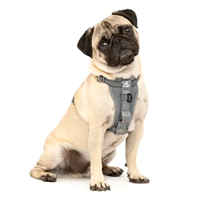 Imagen de Kurgo Tru Fit Arnés para Perro, de Paseo Perros, Anillo en D Entrenamiento sin Tirones, Incluye Mosquetón Seguridad Gris, XS