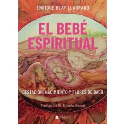 Imagen de El bebé espiritual: Gestación, nacimiento y flores de Bach (SIN COLECCION)