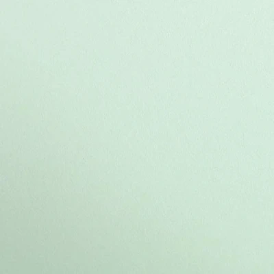 Imagen de Clairefontaine 97468C Cartulina (25 láminas, tamaño DIN A4, 21 x 29,7 cm, 300 g), color verde