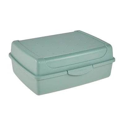 Imagen de keeeper Recipiente para alimentos frescos con cierre de clic, 17 x 13 7 cm, 1 l, Luca Midi, Verde Nordic