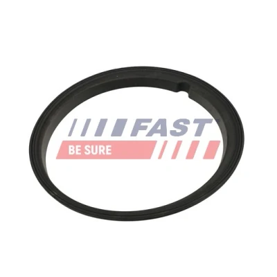 Imagen de FAST FT48502 Juntas