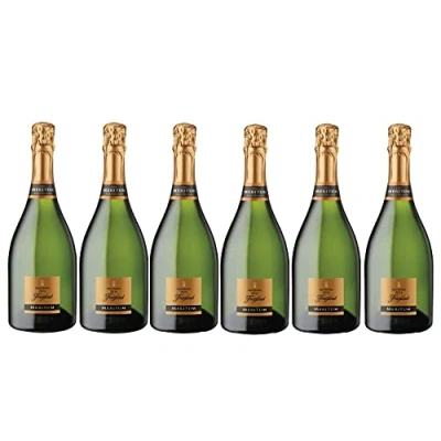 Imagen de Freixenet Cava Meritum 6 Paquetes de 750 ml Total: 4500