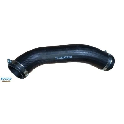 Imagen de Tubo flexible de aire sobrealimentación BUGIAD 82220