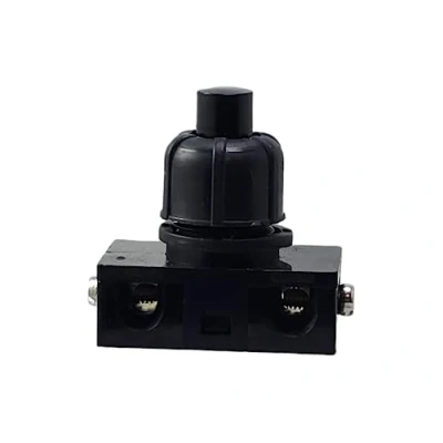 Imagen de Interruptor de presión empotrable con contactos roscados para lámparas y dispositivos, 250 V, 2 A, color negro
