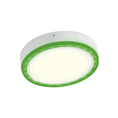 Imagen de LEDVANCE LED White Lum, 38 W, Color Blanco, 400mm