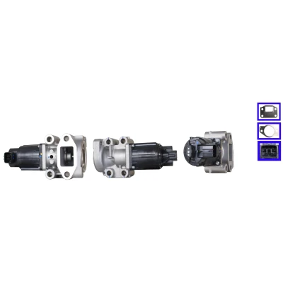 Imagen de ELSTOCK 72 0360 Válvula EGR eléctrico con juntas MITSUBISHI: L200 / Triton IV Pick up