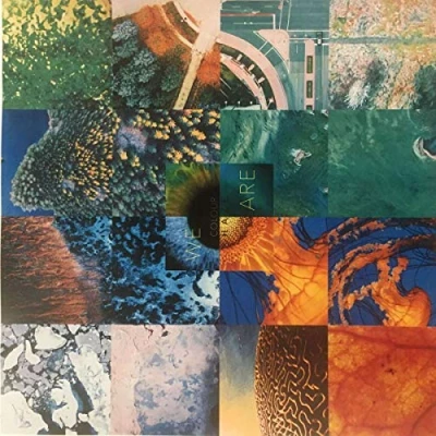 Imagen de We Are [Vinilo]