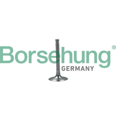 Imagen de Borsehung B19028 Válvula de Admisión VOLKSWAGEN: Golf 5, Touran I, Touareg AUDI: A5 B8 Sportback, Q7, A3 SEAT: Leon II Hatchback