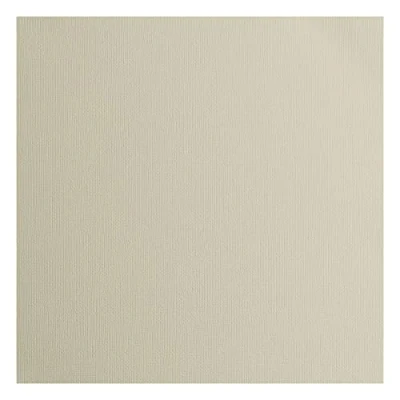 Imagen de Vaessen Creative Florence Cartulina texturizada, color gris ratón, 216 gramos, 30,5 x cm, 20 hojas, para álbumes de recortes, tarjetas, troquelado y otras manualidades papel, cm