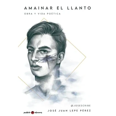 Imagen de Amainar el llanto