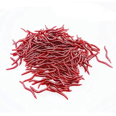 Imagen de Senven Artificial lombriz, Silicona Suave biomimética Cebo lombriz Señuelos Pesca Simulación Gusanos Rojos plástico Ambiente Verde Fuerte tentación Falso RedWorm 100Pcs