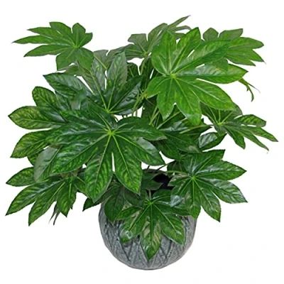 Imagen de Leaf Design UK Planta de follaje Artificial Grande Realista con Maceta, Aralia, 60 cm, AZ Foliage