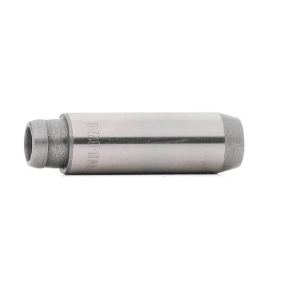 Imagen de TRW Engine Component 81 33122 Guía de válvula Fundición gris con alto contenido fósforo AUDI: A3 Hatchback, A4 B7 Berlina, Sportback norauto,