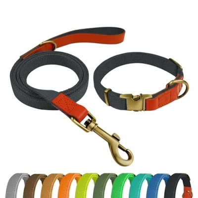 Imagen de Qianruida Collar y Correa Perro Conjunto de para Perros PequeñOs Medianos Grandes Azul Marino Oscuro,M