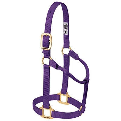 Imagen de Weaver Leather Cabestro Original de Nailon no Ajustable para Caballo, Morado, Yearling
