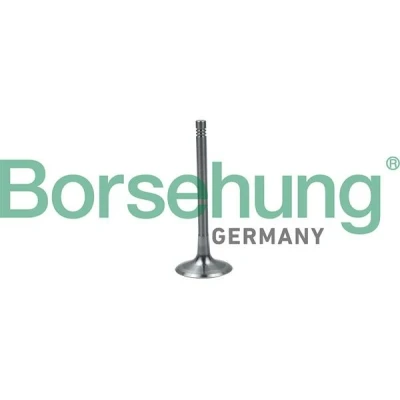 Imagen de Válvula de admisión Borsehung B19024