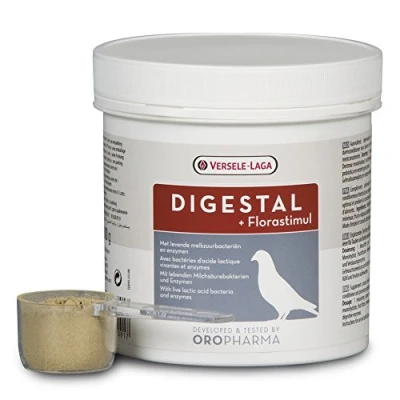 Imagen de Versele Laga Oropharma Digestal 300g
