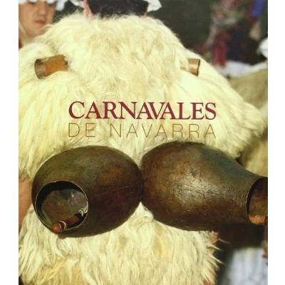 Imagen de Carnavales de Navarra: 6 (Temas Navarra)