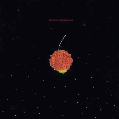 Imagen de Ainavihantaa [Vinilo]