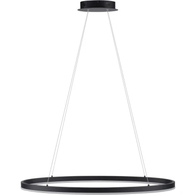 Imagen de Paul Neuhaus Titus Lámpara colgante LED, oval 80x39cm