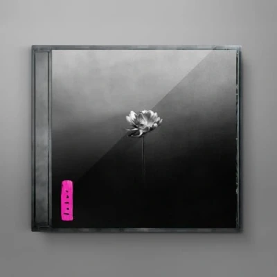 Imagen de Lotus Little Simz