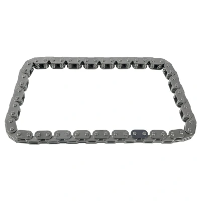 Imagen de SWAG 30 94 0393 Cadena, accionamiento bomba de aceite SEAT: Leon II Hatchback