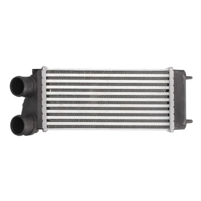 Imagen de THERMOTEC DAC004TT Intercooler 300 150 88 CITROËN: C4 Coupé, I Hatchback, Picasso 1, PEUGEOT: 307 SW, Hatchback