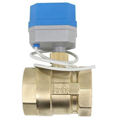 Imagen de Valvula 2 vias motorizada 220v electrovalvula 220 bola 1/2 3/4 1 1/4 pulgada (DN50 pulgada)