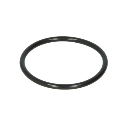 Imagen de Anillo retén, diferencial C.E.I 139938
