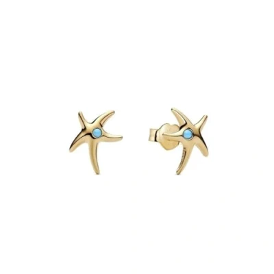 Imagen de Pandora Mujeres Anillo Oro/Turquesa 263820C01