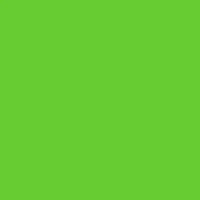Imagen de plottiX Lámina de vinilo permanente, 31,5 cm x 1 m, color verde claro