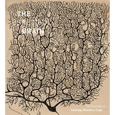 Imagen de Beautiful Brain: The Drawings Of Ramon Y Cajal
