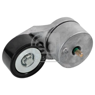 Imagen de FEBI BILSTEIN 174370 Polea Tensora