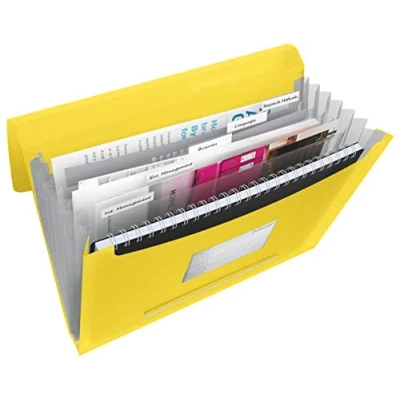 Imagen de ESSELTE 624020 Carpeta acordeón VIVIDA con 6 separadores color amarillo