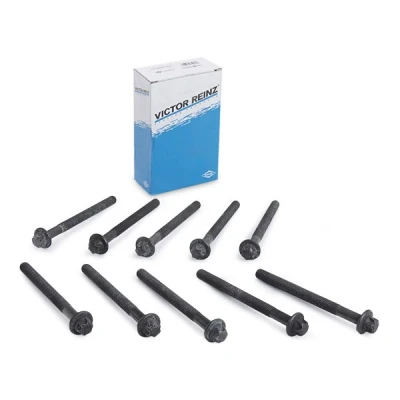 Imagen de REINZ 14 32231 01 Juego de Tornillos Culata Torx exterior RENAULT: GRAND SCENIC 2, TRAFIC 2 Kasten, MASTER OPEL: Vivaro A Combi norauto,