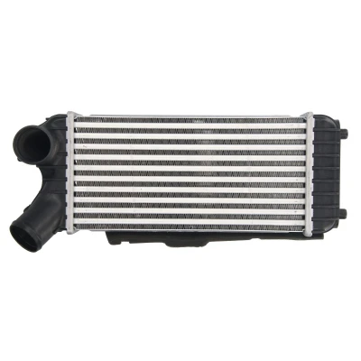 Imagen de THERMOTEC DAG024TT Intercooler