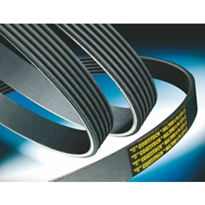 Imagen de CONTITECH 8PK1215 Correa trapecial poli V 1215 8 MERCEDES BENZ: ACTROS MP2 / MP3