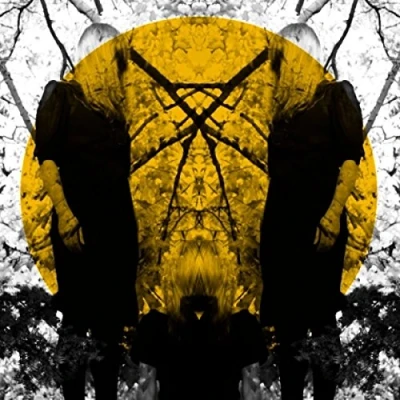Imagen de Austra [Vinilo]