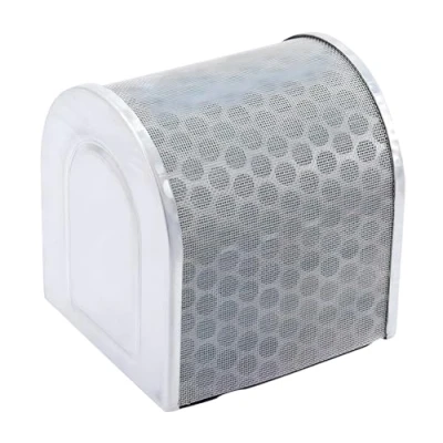 Imagen de FILTRO AIRE HIFLOFILTRO HFA1509