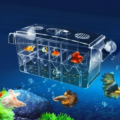 Imagen de Parideras para Peces, 4 in 1 Paridera Flotante con Tapa, Gran Capacidad Granja de Cría Peces Acuario, Transparente Caja Aislamiento Ventosas, 27 x 11.5cm