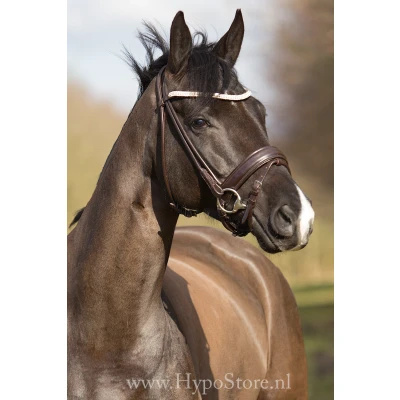 Imagen de Premiera &#039;&#039;Imperia&#039;&#039; brown rolled bridle with crystal browband, silver buckles
