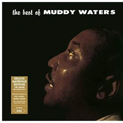 Imagen de The Best Of Muddy Waters (vinilo)