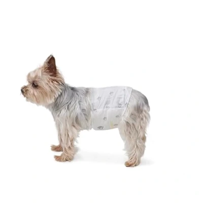 Imagen de Amazon Basics Pañales desechables para perros macho, XS, paquete de 30, color blanco