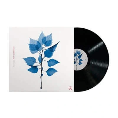 Imagen de Get Sunk Vinilo Matt Berninger