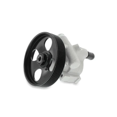 Imagen de PETERS ENNEPETAL 122.501 00A Bomba de Direccion 180