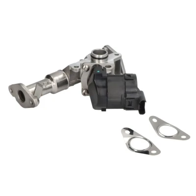 Imagen de PIERBURG 7.24809.50.0 Válvula EGR eléctrico de control con junta BMW: 3 Berlina, Touring, 1 Hatchback