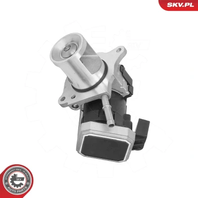 Imagen de Válvula EGR ESEN SKV 14SKV310